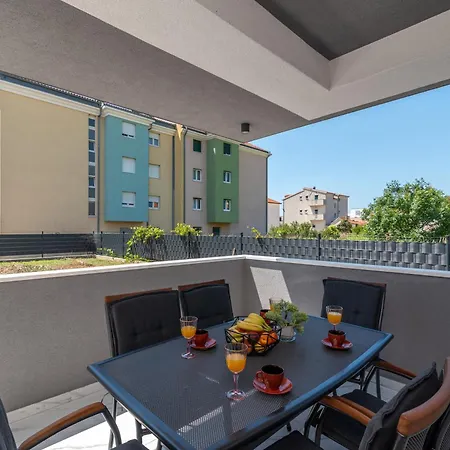 Cvit * Τρογκίρ